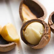 Atstatomoji Macadamia Natural Oil kaukė plaukams